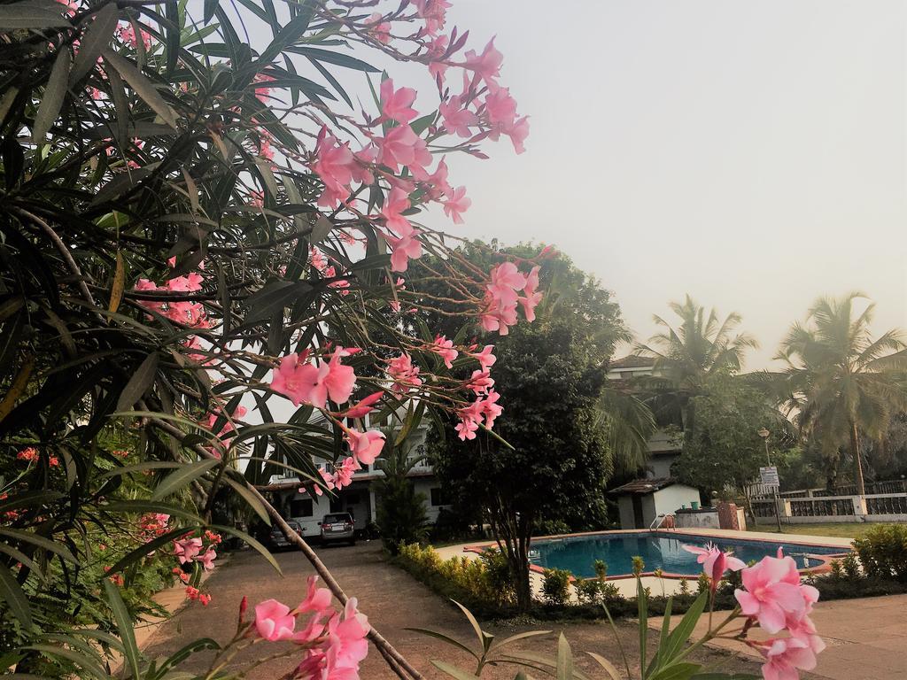 Gr Stays - Duplex 3Bhk Villa With Pool Arpora I Baga Beach 5 Mins Exterior photo